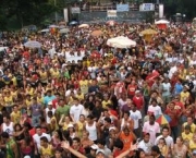 carnaval-em-brasilia6