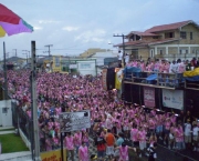 carnaval-em-santa-catarina3