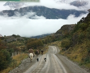 carretera-austral-5