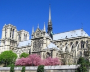 Catedral de Notre Dame (12)