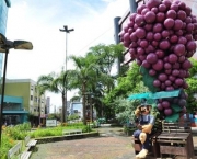 Caxias do Sul Tem Cor de Uva (1)