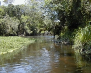 cidade-de-rio-claro-em-sao-paulo-2