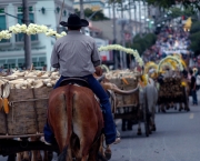 cidade-de-sao-roque-6