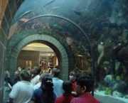 dallas-aquarium-3