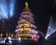 12/11/08 Natal Luz de Gramado-RS. Abertura Oficial. Foto Sandro Seewald/GFS