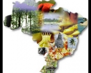 desenvolvendo-o-turismo-sustentavel-no-brasil-5