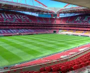 Estádio da Luz do Benfica (3)