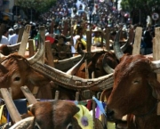 Festas em Minas (1)