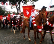 Festas em Minas (9)