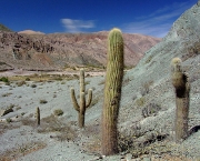 fotos-de-humahuaca-6