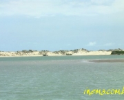 galinhos-no-rio-grande-do-norte-1