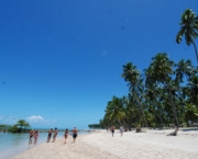 Praia dos Carneiros.