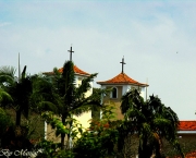 guararema-em-sao-paulo-11