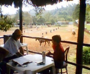 guararema-em-sao-paulo-14