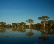 Hotel Fazenda Pantanal (15).jpg