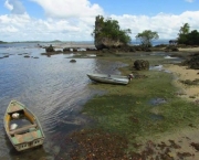 Ilha da Pedra Furada Península de Maraú (3)