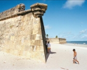 ilha-de-itamaraca-4