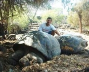 foto-ilha-galapagos-01