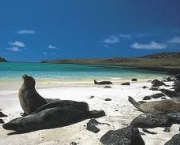 foto-ilha-galapagos-10