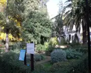 jardim-botanico-da-universidade-de-granada-5