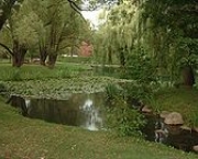 jardim-botanico-de-birmingham14