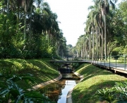 jardim-botanico-de-birmingham19