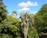 jardim-botanico-de-birmingham9