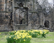 kirkstall-abbey-18