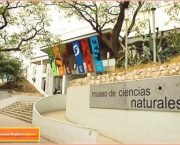 Museos de Argentina | Museo Provincial de Ciencias Naturales - Córdoba