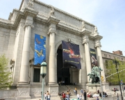 o-museu-americano-de-historia-natural-1