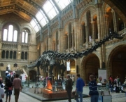 o-museu-de-historia-natural-de-londres-1