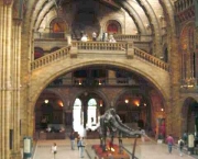 o-museu-de-historia-natural-de-londres-1_0