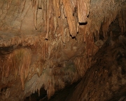 parque-nacional-de-mammoth-cave-1