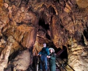 parque-nacional-de-mammoth-cave-11