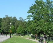 o-parque-slottsskogen-na-suecia-10