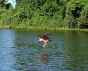 pantanal-turismo-2