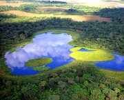 pantanal-turismo-5