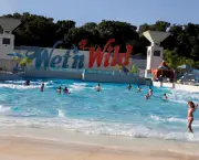 Parque Aquatico Wetn Wild (4)