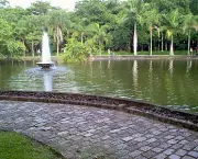 Parque Chico Mendes (9)