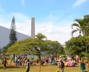 Parque do Ibirapuera (2)