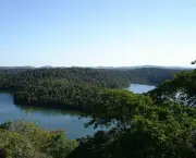 parque-estadual-do-rio-doce-1