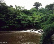 parque-nacional-da-amazonia-10