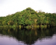 parque-nacional-da-amazonia-11