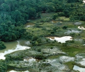parque-nacional-da-amazonia-14