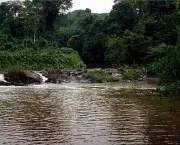 parque-nacional-da-amazonia-7