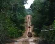 parque-nacional-da-amazonia-9