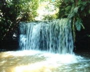 parque-nacional-serra-do-divisor-1