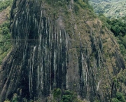 parque-nacional-nas-montanhas-do-tumucumaque-7