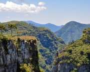 Parque Nacional de São Joaquim (2)