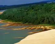 Parque Nacional do Araguaia (5)